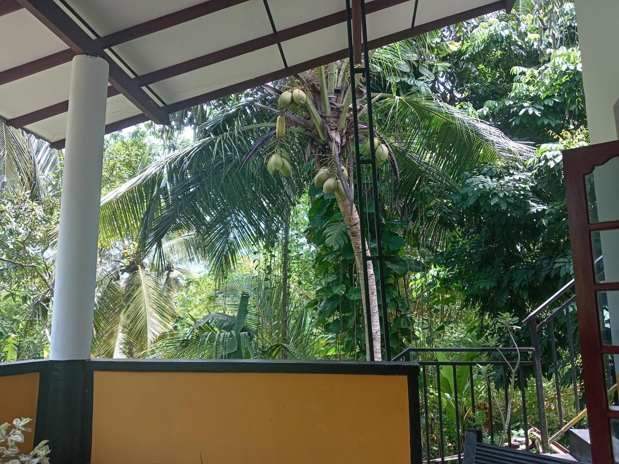 Willa Freedom House Unawatuna Zewnętrze zdjęcie